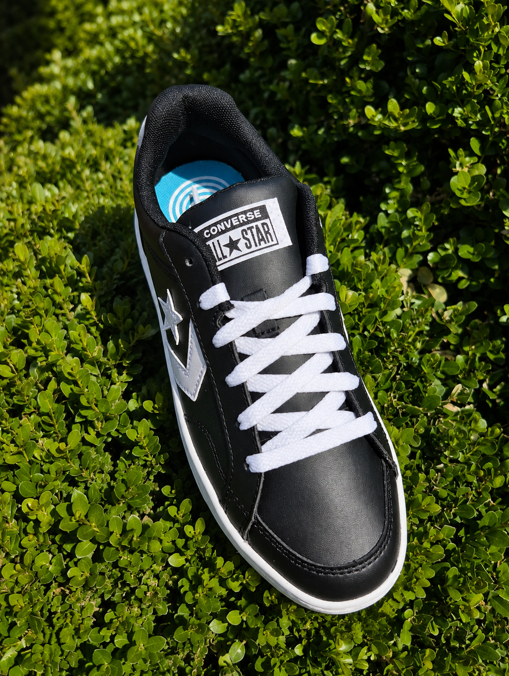 Sneakers Donna Converse – Ecopelle