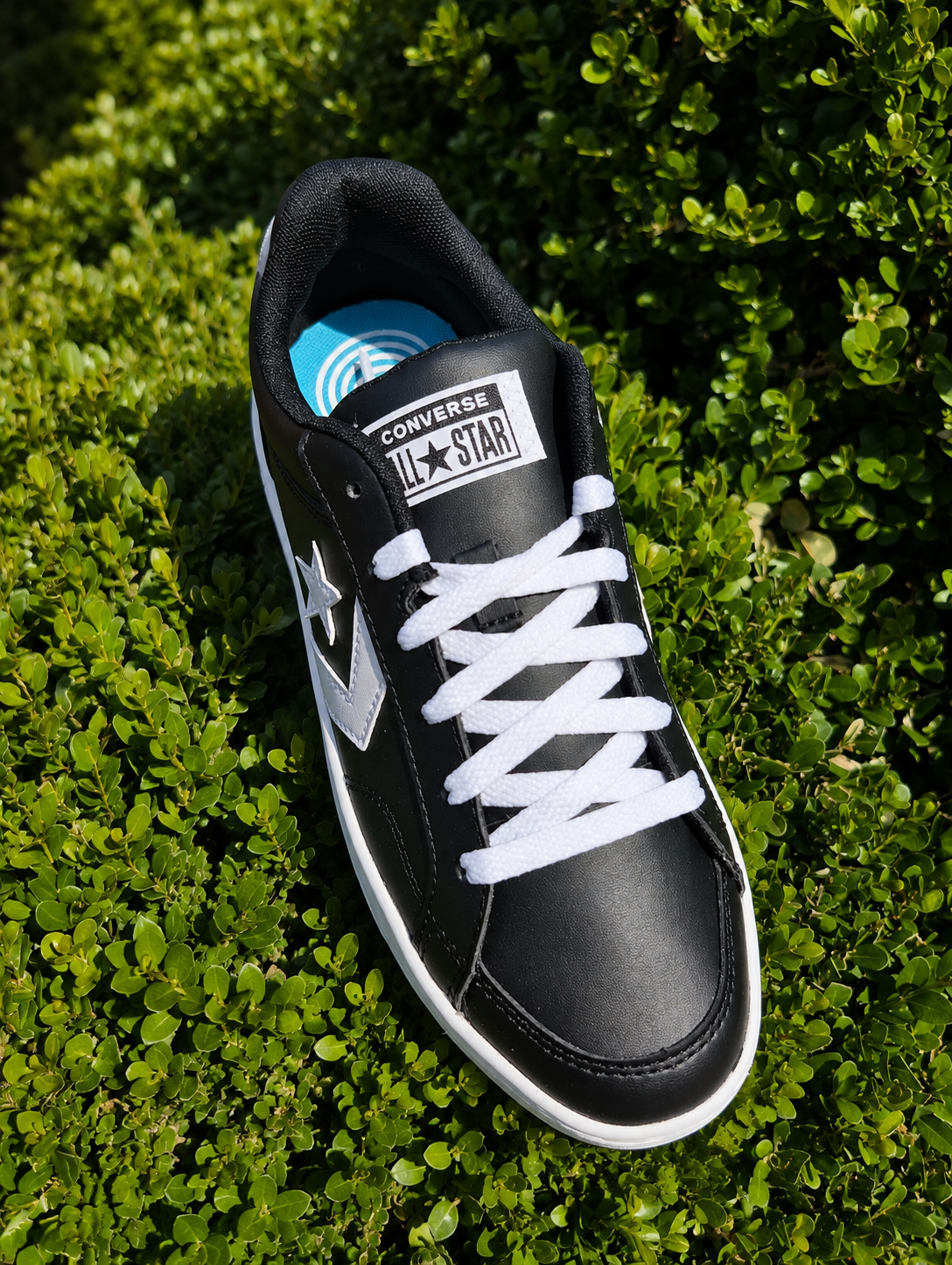 Sneakers Donna Converse – Ecopelle
